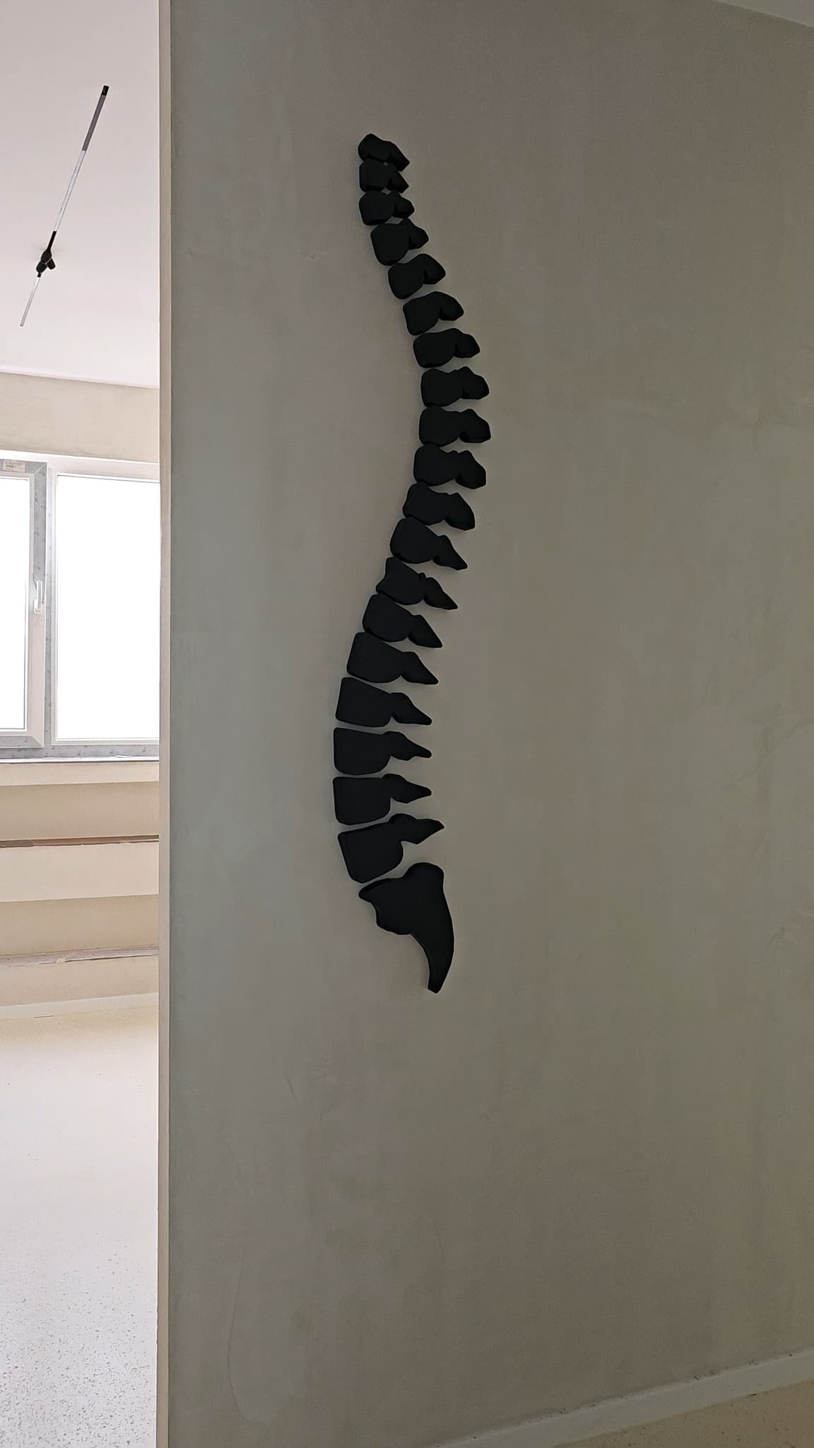 Model anatomik i shtyllës kurrizore, i realizuar me printim 3D nga 3Done Prints për një klinikë